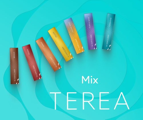 Mix TEREA - 2 flavors of your choice